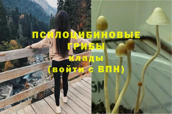 кокс Алексеевка
