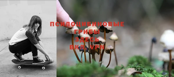 кокс Алексеевка