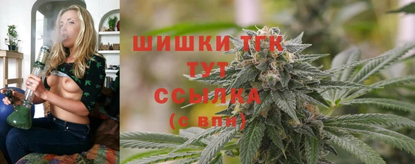 дмт Алексин