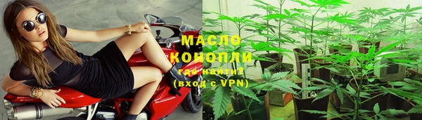 дмт Алексин