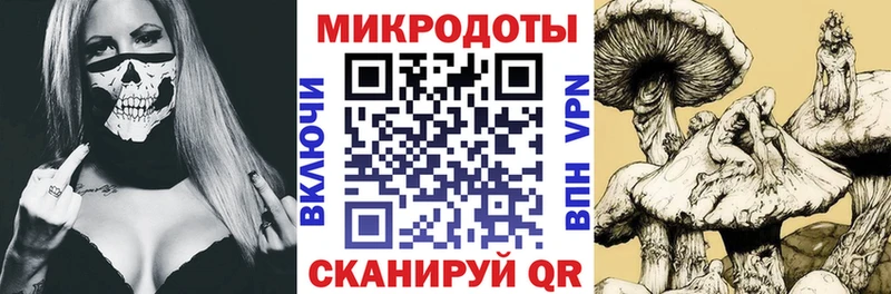 купить закладку  Чернушка  Псилоцибиновые грибы ЛСД 