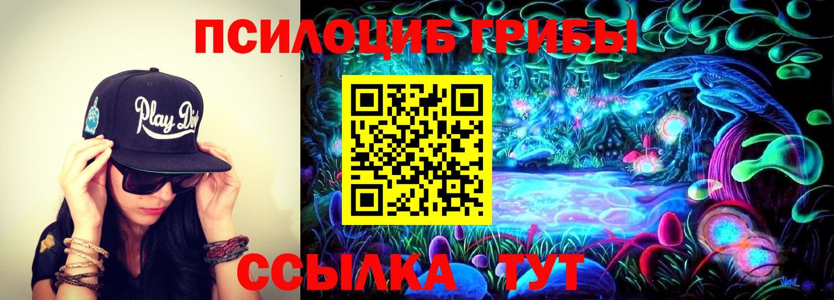 Чернушка  Галлюциногенные грибы Cubensis  Вход с VPN  Псилоцибиновые грибы Cubensis 